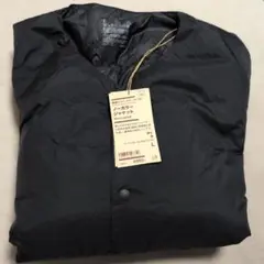 Item thumbnail for item efb901c9-17b5-4ae1-83a2-283a0532c481