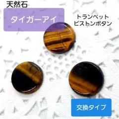 2025年最新】tiger トランペットの人気アイテム - メルカリ