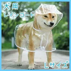 Item thumbnail for item ebecfac6-f2e6-459b-84d9-e0c495805428