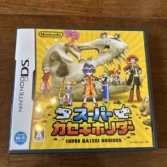 スーパーカセキホリダー　DSソフト