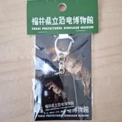 新品　ティラノサウルス　アクリルキーホルダー　福井恐竜博物館