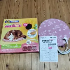 Item thumbnail for item 4c36a9d1-d52f-4da9-bc8f-dc3ba8879c35