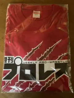 ワンダプロレス週間プロレス有田当選品激レア全国50着新日全日