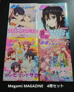 Megami MAGAZINE　2019 1〜3　5 4冊セット