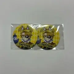 カラフルピーチ　たっつん　ワンダーランド　ワダラン　缶バッジ　まとめ売り