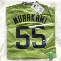 Item thumbnail for item 13eac056-5a21-46d1-a7a4-e5183d5283d0