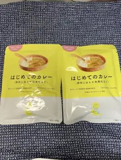 はじめてのカレー 100g 2袋セット