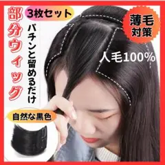 Item thumbnail for item 23934287-0e32-4a99-b6d0-eb209cd2aa13