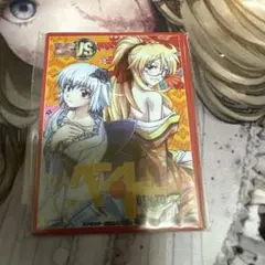 ヴィクトリースパーク　ベン・トー　スリーブ