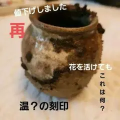 越前お歯黒壷(参考品)  六古窯 小壷 0619092522_648fa0725c26b.jpg