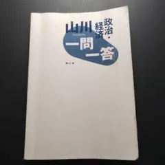 山川 政治・経済 一問一答