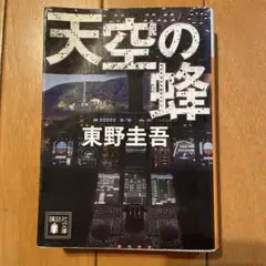 天空の蜂