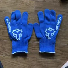 NSSU NITTADAI ロゴ付きスポーツグローブ