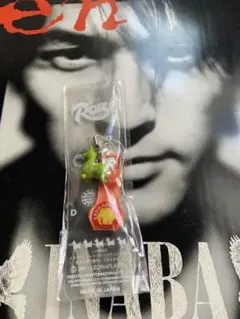B'z&稲葉浩志さん　ツアーパンフレット 5点セット B'z&稲葉浩志さん ツアーパンフレット 5点セット