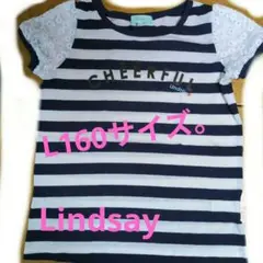 Lindsay CHEERFUL Tシャツ L160サイズ
