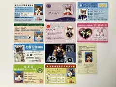 なめんなよ カードコレクション 11枚セット なめ猫