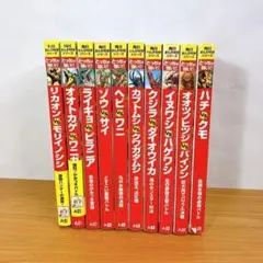 どっちが強い？　10冊セット