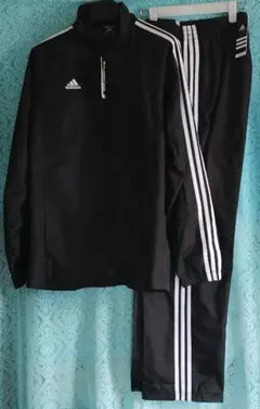 Item thumbnail for item 02c722a5-bf57-4554-8509-03ef718be9d8