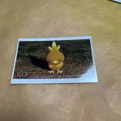 ポケモンフォトプロプロマイドコレクション アチャモ