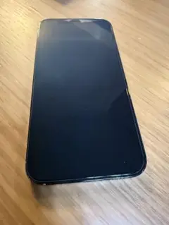 iPhone12pro 256GB 本体　カメラ割れ有　動作確認済　Apple