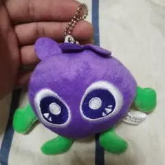 ブルベリアイ マスコット