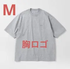 ENNOY パックT GLAY 胸ロゴ M