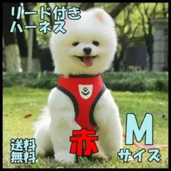 ハーネス リードセット 赤 M 犬 猫 ペット用 お散歩