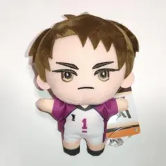 牛島若利 みにコレ！ぬいぐるみマスコット3 「ハイキュー!!」