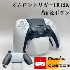 Item thumbnail for item ab45bb7a-5026-4d95-9e52-2965461c63b8