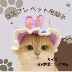 Item thumbnail for item 04d71ee7-a72b-43a8-9aef-641b5ab7bddb