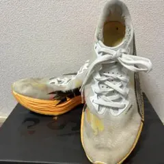 Item thumbnail for item cc27a219-8c27-4c53-bac2-5ef2b5c22d38