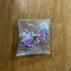 キミとアイドルプリキュア キラルンリボン メロロン