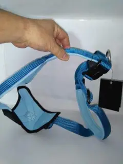 Item thumbnail for item 02211ab1-4d29-4196-b694-3d049bfeff7f