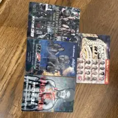 RIZIN ポテトスティック シークレット＆その他