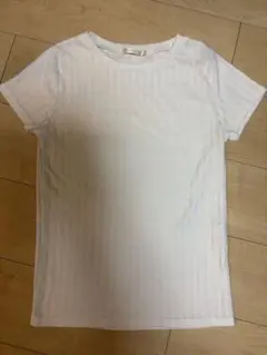 ホワイト ストライプ 半袖Tシャツ