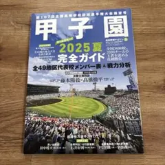 甲子園本