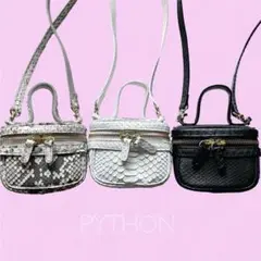 値下げしました!パイソンバニティ⭐︎レアchiii!bag