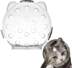 Item thumbnail for item 24a34adb-8df1-467b-8218-34ab9f80eddc