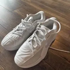 NIKE ZOOM FREAK 5 TB EP WHITE 25.5cm