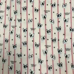 Item thumbnail for item ee10065d-ecc1-47ce-a0a3-2450a25bbdd5