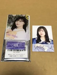 乃木坂46 柴田柚菜 個別ランダム アクリルスタンド 真夏の全国ツアー2023