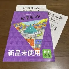 ピラミッド　社会小5