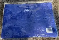 【WTW】新品未使用未開封【クラッチバッグ】ブルーwtwダブルティ