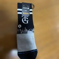 ジャイアンツ野球