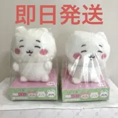 Item thumbnail for item 303556dc-c92a-4069-8b5f-6aa227867e4e