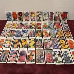 Item thumbnail for item 2edeacfb-d940-4815-9d38-a2d5eae1a024