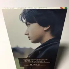 [見本8cmCD] 渡辺直由 果てしない空の下で ステーションEYE