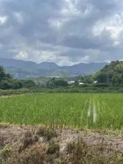 返品用