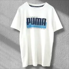 Item thumbnail for item f09b8ec8-4b79-4dcd-9031-511fd0e7f50f
