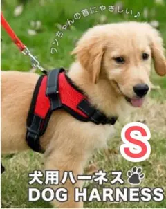 ⚡今だけ!期間限定価格⚡【Sサイズ】ハーネス 犬用品 レッド 赤 犬服 ペット服